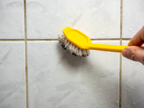 Best Mold Removal Process  in Pulaski, WI