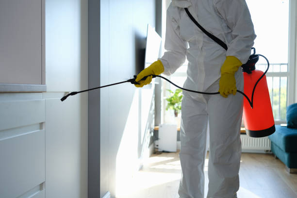 Best Attic Mold Removal  in Pulaski, WI