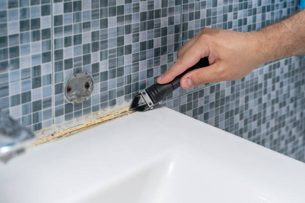 Mold Removal Process in Pulaski, WI