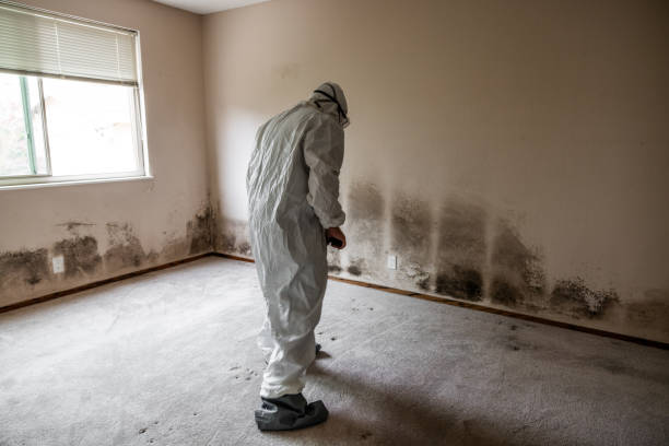 Best Crawl Space Mold Removal  in Pulaski, WI